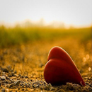 Heart Touching Quotes-APK