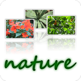 wallpapers-nature-640x480-ZERO-icoon