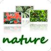 ”wallpapers-nature-640x480-ZERO