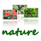 wallpapers-nature-640x480-ZERO 圖標