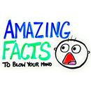Facts APK