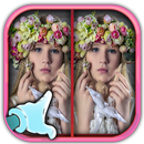 Photo Hunt Spot the Difference APK