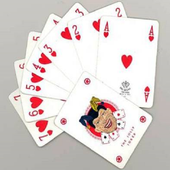SCARICA GIOCO PINNACOLA