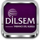 Dilsem YDS আইকন
