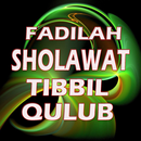 FADDILAH SHOLAWAT TIBIL QULUB APK