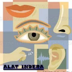 Alat Indera APK download