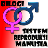 ikon Sistem Reproduksi Manusia