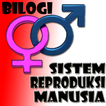 ”Sistem Reproduksi Manusia