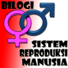 Sistem Reproduksi Manusia アイコン