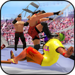 World Wrestling Mania: New Wrestling Fight Game