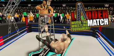 Ladder Match: World Tag Wrestling Tournament 2k18