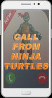 Prank Call From Ninja Turtles पोस्टर