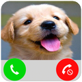 Talking Puppy Call