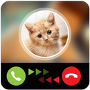 Cat joke fake call APK