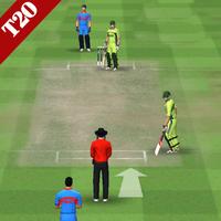 T20 Cricket Games Affiche