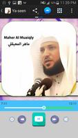 القران الكريم _ ماهر المعيقلي скриншот 3