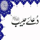 Dua e Habib APK