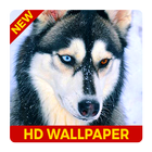 Dogs HD wallpaper 2018 icône