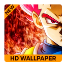 Dragon Ball HD wallpaper 2018 fan made APK