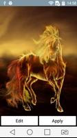 Golden horse Affiche