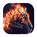 Red-hot tiger live wallpaper APK