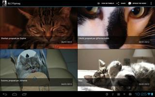 Bonjour Le Chat Flipmag screenshot 3