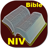 Holy Bible NIV