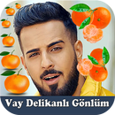 Veysel Mutlu - Vay Delikanlı Gönlüm APK