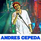 Top Song by Andrés Cepeda - Te Voy a Amar icon