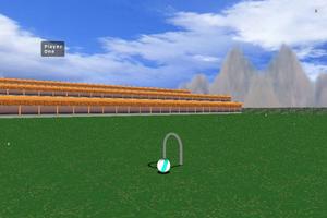 Croquet Pro Screenshot 2