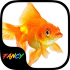 Gold Fish Fancy Keyboard Theme icône