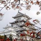 Japan Wallpapers And Images 图标