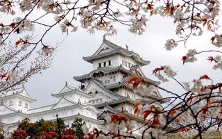 Japan Wallpapers And Images постер