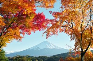 Japan Wallpapers And Images 截图 2