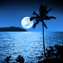 APK chiaro di luna live wallpapers