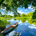 Nature Live Wallpapers