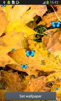 les feuilles d'automne live wa capture d'écran 1