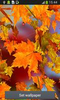 2 Schermata foglie d'autunno live wallpape