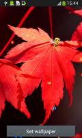 가을 라이브 배경 화면 잎 스크린샷 3