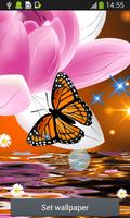 Butterfly Live Wallpapers স্ক্রিনশট 3