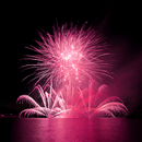 feux d'artifice Live Wallpaper APK