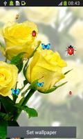 गुलाब के फूल लाइव वॉलपेपर स्क्रीनशॉट 3