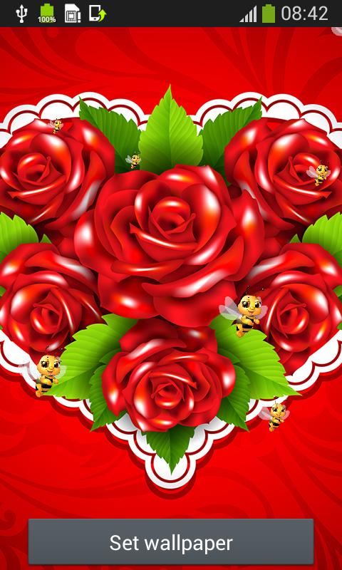 Wallpaper Bunga Mawar Putih<br/>