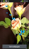 गुलाब के फूल लाइव वॉलपेपर स्क्रीनशॉट 1