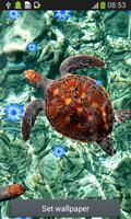 1 Schermata creature marine Live Wallpaper