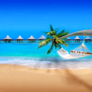 live wallpapers de mer APK