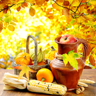 thanksgiving live wallpapers icône