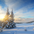 Winter Live Wallpapers
