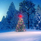 آیکون‌ Xmas Tree Live Wallpapers