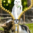 tela de bloqueio zipper gato